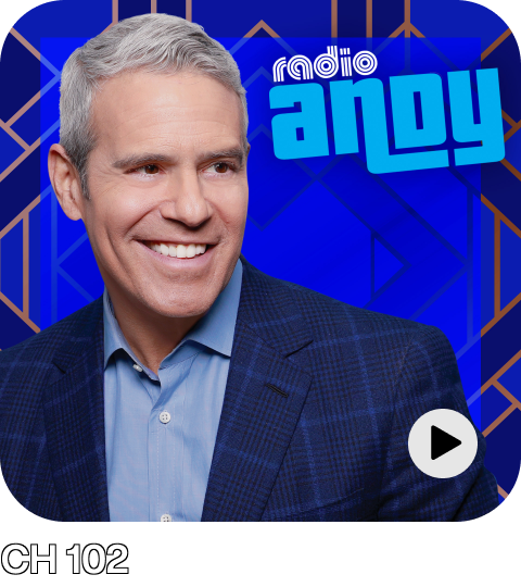 Radio Andy CH 102