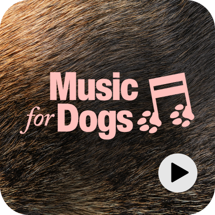 Music for Dogs