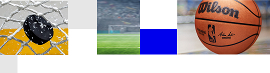 Hockey puck, Soccer field, Basketball