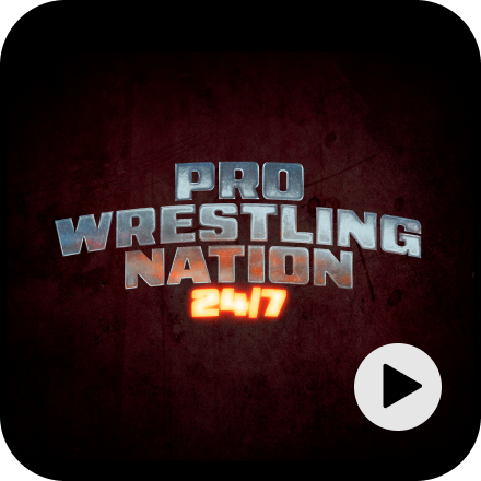 Pro Wresting Nation